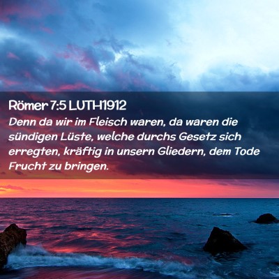 Picture 02 - Römer 7:5 LUTH1912 - Denn da wir im Fleisch waren, da waren die - Bible Verse Picture