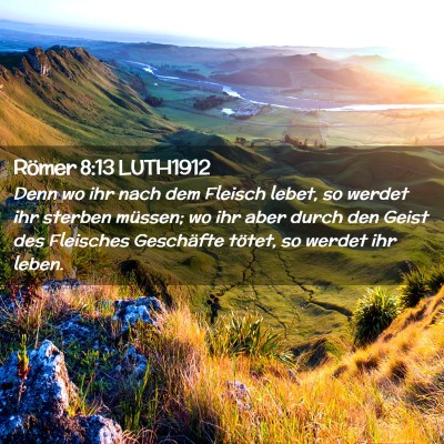 Picture 02 - Römer 8:13 LUTH1912 - Denn wo ihr nach dem Fleisch lebet, so werdet ihr - Bible Verse Picture