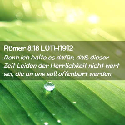 Picture 02 - Römer 8:18 LUTH1912 - Denn ich halte es dafür, daß dieser Zeit Leiden - Bible Verse Picture
