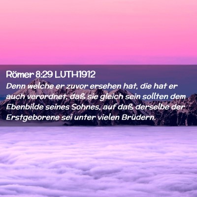 Picture 02 - Römer 8:29 LUTH1912 - Denn welche er zuvor ersehen hat, die hat er auch - Bible Verse Picture