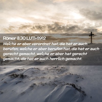 Picture 02 - Römer 8:30 LUTH1912 - Welche er aber verordnet hat, die hat er auch - Bible Verse Picture