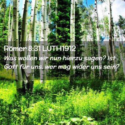 Picture 02 - Römer 8:31 LUTH1912 - Was wollen wir nun hierzu sagen? Ist Gott für - Bible Verse Picture