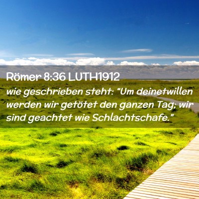 Picture 02 - Römer 8:36 LUTH1912 - wie geschrieben steht: “Um deinetwillen werden - Bible Verse Picture