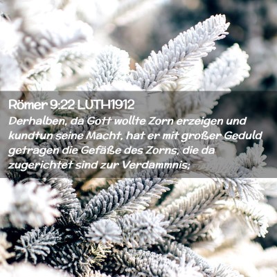Picture 02 - Römer 9:22 LUTH1912 - Derhalben, da Gott wollte Zorn erzeigen und - Bible Verse Picture