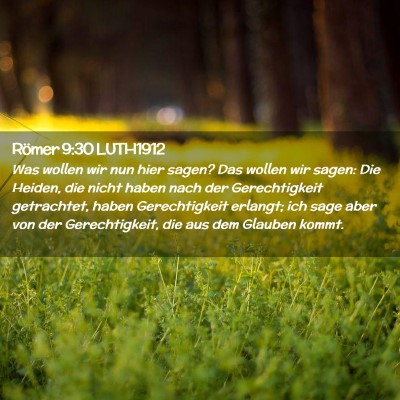 Picture 02 - Römer 9:30 LUTH1912 - Was wollen wir nun hier sagen? Das wollen wir - Bible Verse Picture