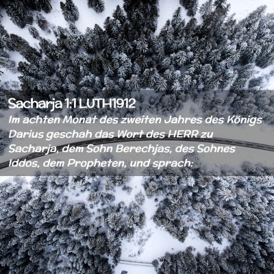 Picture 02 - Sacharja 1:1 LUTH1912 - Im achten Monat des zweiten Jahres des Königs - Bible Verse Picture