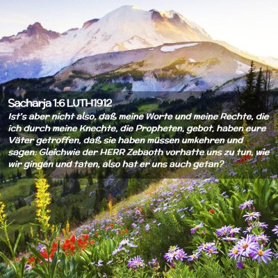 Picture 02 - Sacharja 1:6 LUTH1912 - Ist's aber nicht also, daß meine Worte und meine - Bible Verse Picture