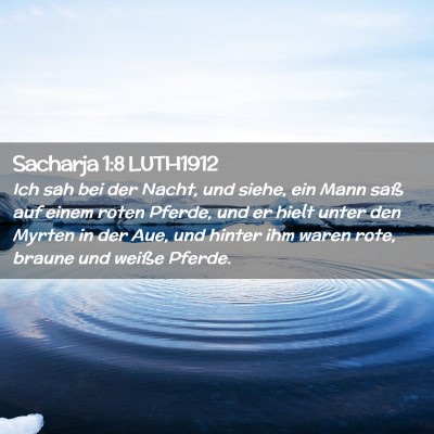 Picture 02 - Sacharja 1:8 LUTH1912 - Ich sah bei der Nacht, und siehe, ein Mann saß - Bible Verse Picture