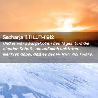 Picture 02 - Sacharja 11:11 LUTH1912 - Und er ward aufgehoben des Tages. Und die elenden - Bible Verse Picture