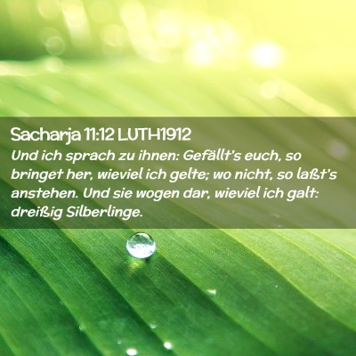 Picture 02 - Sacharja 11:12 LUTH1912 - Und ich sprach zu ihnen: Gefällt's euch, so - Bible Verse Picture