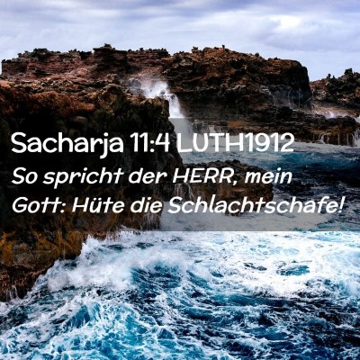 Picture 02 - Sacharja 11:4 LUTH1912 - So spricht der HERR, mein Gott: Hüte die - Bible Verse Picture