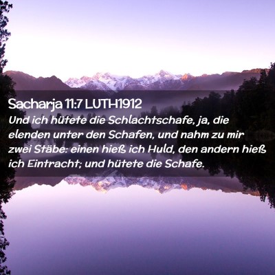 Picture 02 - Sacharja 11:7 LUTH1912 - Und ich hütete die Schlachtschafe, ja, die - Bible Verse Picture