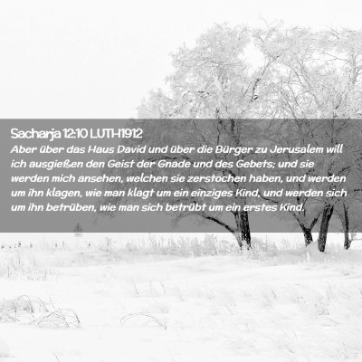 Picture 02 - Sacharja 12:10 LUTH1912 - Aber über das Haus David und über die Bürger - Bible Verse Picture