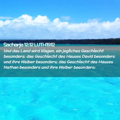 Picture 02 - Sacharja 12:12 LUTH1912 - Und das Land wird klagen, ein jegliches - Bible Verse Picture