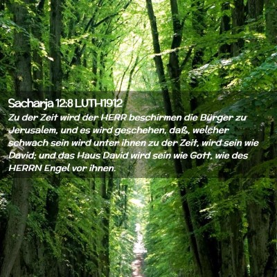 Picture 02 - Sacharja 12:8 LUTH1912 - Zu der Zeit wird der HERR beschirmen die Bürger - Bible Verse Picture