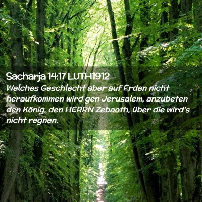 Picture 02 - Sacharja 14:17 LUTH1912 - Welches Geschlecht aber auf Erden nicht - Bible Verse Picture