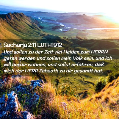 Picture 02 - Sacharja 2:11 LUTH1912 - Und sollen zu der Zeit viel Heiden zum HERRN - Bible Verse Picture