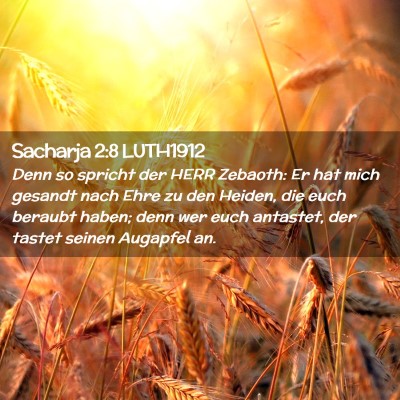 Picture 02 - Sacharja 2:8 LUTH1912 - Denn so spricht der HERR Zebaoth: Er hat mich - Bible Verse Picture