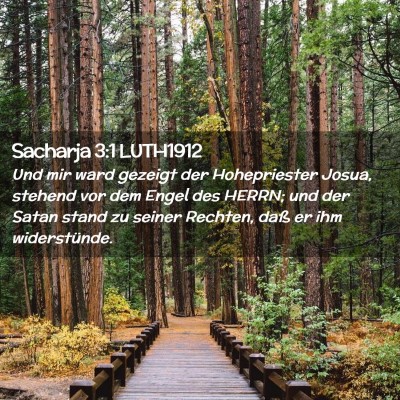 Picture 02 - Sacharja 3:1 LUTH1912 - Und mir ward gezeigt der Hohepriester Josua, - Bible Verse Picture