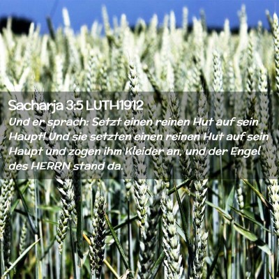 Picture 02 - Sacharja 3:5 LUTH1912 - Und er sprach: Setzt einen reinen Hut auf sein - Bible Verse Picture