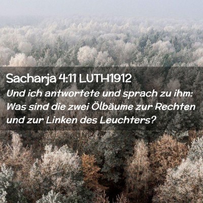 Picture 02 - Sacharja 4:11 LUTH1912 - Und ich antwortete und sprach zu ihm: Was sind - Bible Verse Picture