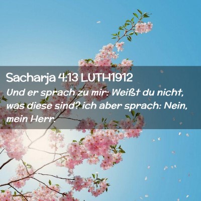 Picture 02 - Sacharja 4:13 LUTH1912 - Und er sprach zu mir: Weißt du nicht, was diese - Bible Verse Picture