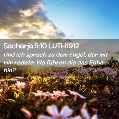 Picture 02 - Sacharja 5:10 LUTH1912 - Und ich sprach zu dem Engel, der mit mir redete: - Bible Verse Picture