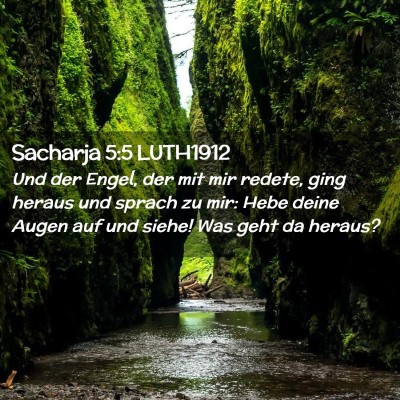 Picture 02 - Sacharja 5:5 LUTH1912 - Und der Engel, der mit mir redete, ging heraus - Bible Verse Picture