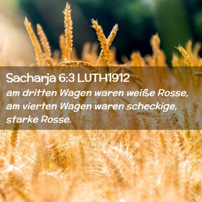 Picture 02 - Sacharja 6:3 LUTH1912 - am dritten Wagen waren weiße Rosse, am vierten - Bible Verse Picture