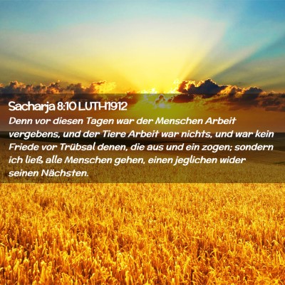 Picture 02 - Sacharja 8:10 LUTH1912 - Denn vor diesen Tagen war der Menschen Arbeit - Bible Verse Picture