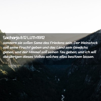 Picture 02 - Sacharja 8:12 LUTH1912 - sondern sie sollen Same des Friedens sein. Der - Bible Verse Picture