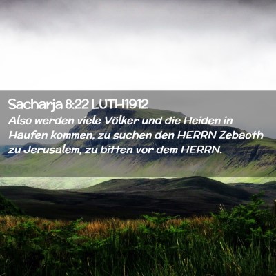 Picture 02 - Sacharja 8:22 LUTH1912 - Also werden viele Völker und die Heiden in - Bible Verse Picture