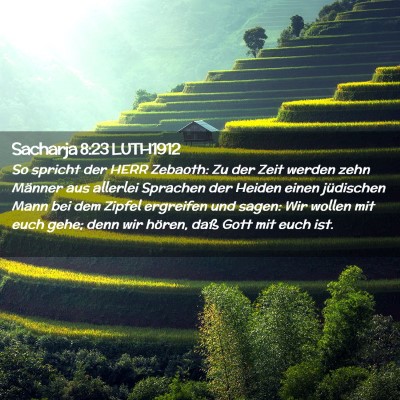 Picture 02 - Sacharja 8:23 LUTH1912 - So spricht der HERR Zebaoth: Zu der Zeit werden - Bible Verse Picture