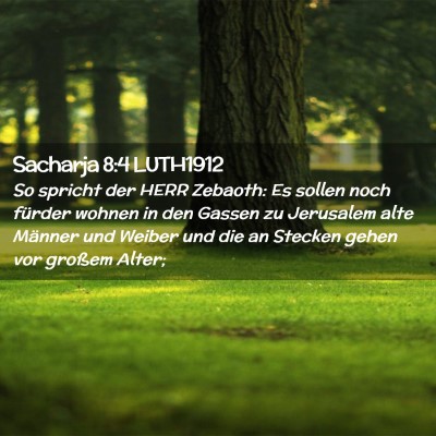 Picture 02 - Sacharja 8:4 LUTH1912 - So spricht der HERR Zebaoth: Es sollen noch - Bible Verse Picture