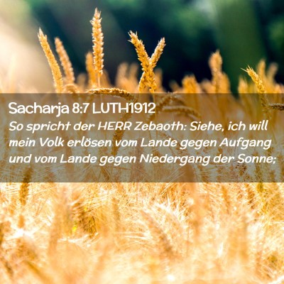 Picture 02 - Sacharja 8:7 LUTH1912 - So spricht der HERR Zebaoth: Siehe, ich will mein - Bible Verse Picture
