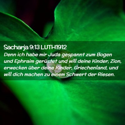 Picture 02 - Sacharja 9:13 LUTH1912 - Denn ich habe mir Juda gespannt zum Bogen und - Bible Verse Picture