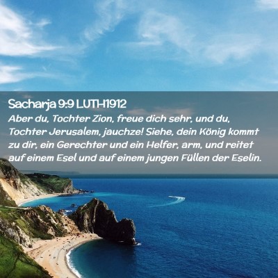 Picture 02 - Sacharja 9:9 LUTH1912 - Aber du, Tochter Zion, freue dich sehr, und du, - Bible Verse Picture
