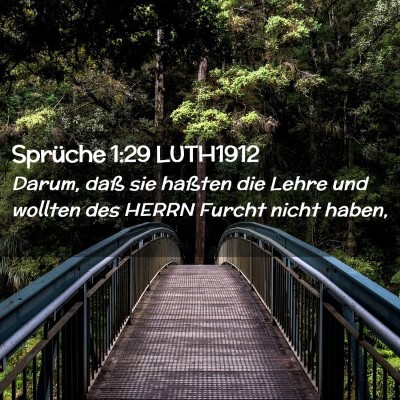 Picture 02 - Sprüche 1:29 LUTH1912 - Darum, daß sie haßten die Lehre und wollten des - Bible Verse Picture