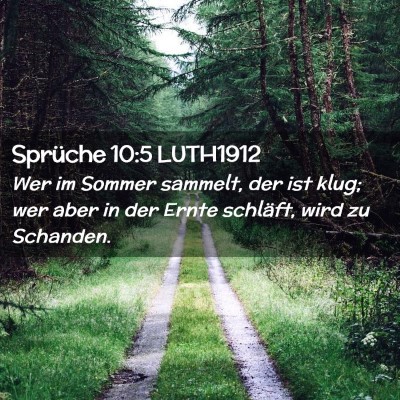 Picture 02 - Sprüche 10:5 LUTH1912 - Wer im Sommer sammelt, der ist klug; wer aber in - Bible Verse Picture