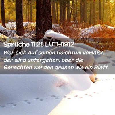 Picture 02 - Sprüche 11:28 LUTH1912 - Wer sich auf seinen Reichtum verläßt, der wird - Bible Verse Picture
