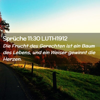 Picture 02 - Sprüche 11:30 LUTH1912 - Die Frucht des Gerechten ist ein Baum des Lebens, - Bible Verse Picture