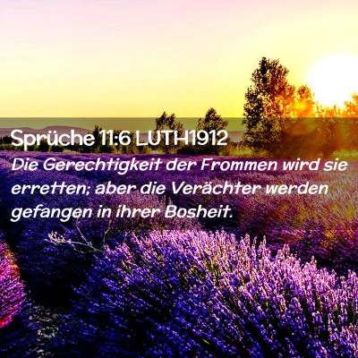 Picture 02 - Sprüche 11:6 LUTH1912 - Die Gerechtigkeit der Frommen wird sie erretten; - Bible Verse Picture