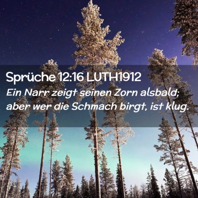 Picture 02 - Sprüche 12:16 LUTH1912 - Ein Narr zeigt seinen Zorn alsbald; aber wer die - Bible Verse Picture
