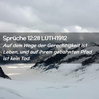 Picture 02 - Sprüche 12:28 LUTH1912 - Auf dem Wege der Gerechtigkeit ist Leben, und auf - Bible Verse Picture