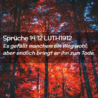 Picture 02 - Sprüche 14:12 LUTH1912 - Es gefällt manchem ein Weg wohl; aber endlich - Bible Verse Picture