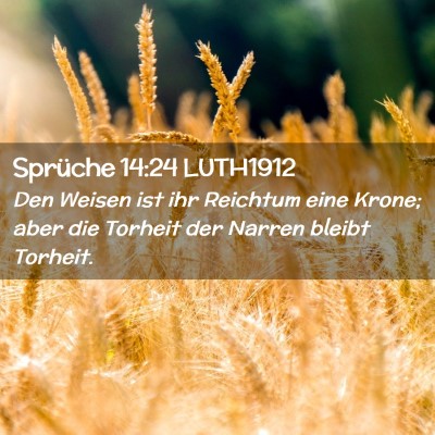 Picture 02 - Sprüche 14:24 LUTH1912 - Den Weisen ist ihr Reichtum eine Krone; aber die - Bible Verse Picture