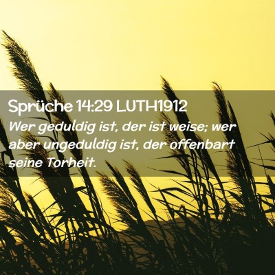 Picture 02 - Sprüche 14:29 LUTH1912 - Wer geduldig ist, der ist weise; wer aber - Bible Verse Picture