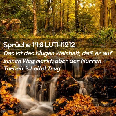 Picture 02 - Sprüche 14:8 LUTH1912 - Das ist des Klugen Weisheit, daß er auf seinen - Bible Verse Picture
