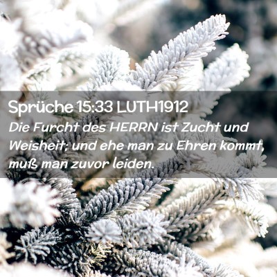 Picture 02 - Sprüche 15:33 LUTH1912 - Die Furcht des HERRN ist Zucht und Weisheit; und - Bible Verse Picture