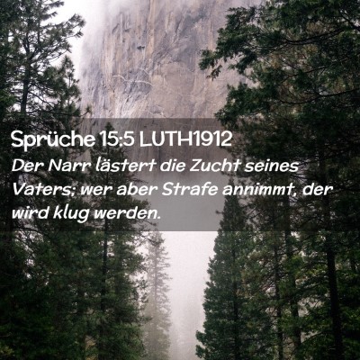 Picture 02 - Sprüche 15:5 LUTH1912 - Der Narr lästert die Zucht seines Vaters; wer - Bible Verse Picture
